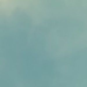 Meet your Posher, Arianna